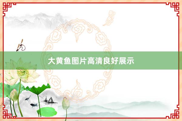 大黄鱼图片高清良好展示
