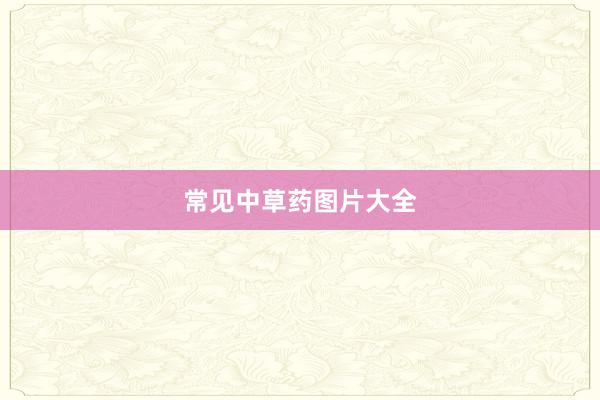 常见中草药图片大全