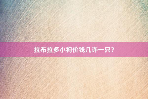 拉布拉多小狗价钱几许一只？