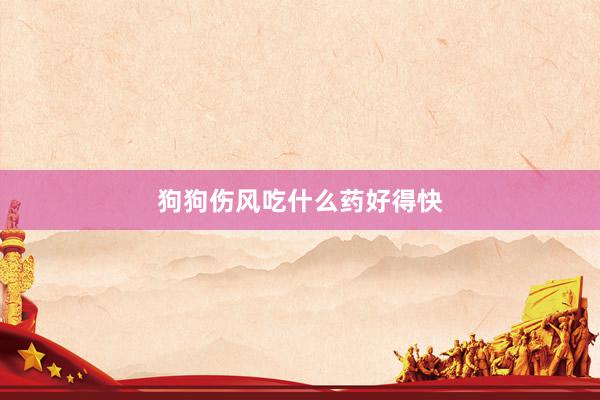 狗狗伤风吃什么药好得快